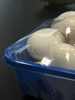 Film alimentaire en PVC transparent avec trous de respiration pour l'emballage des champignons