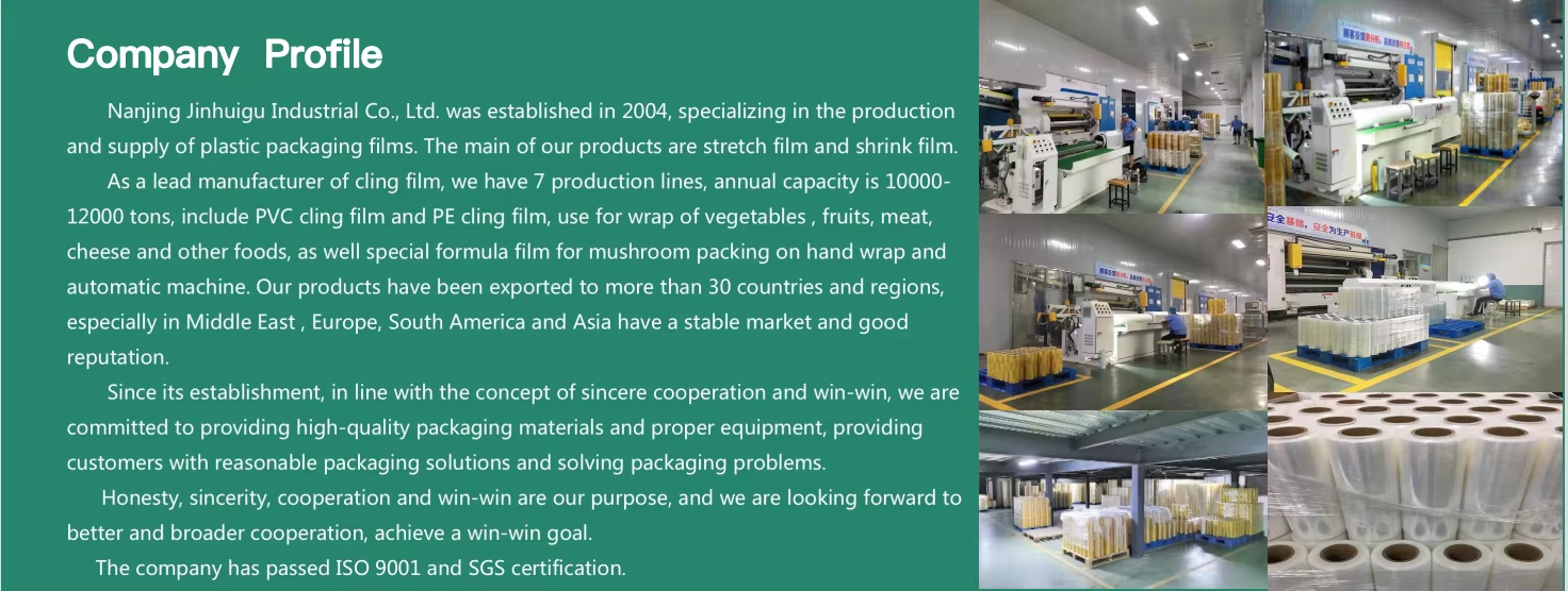 Profil de l'entreprise